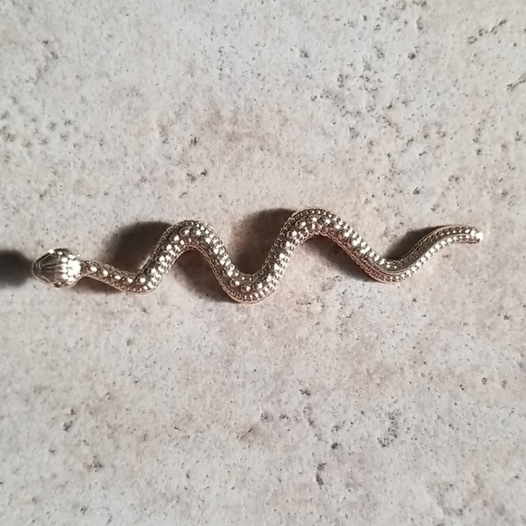 FREE Snake Charm - Picture 5 of 5